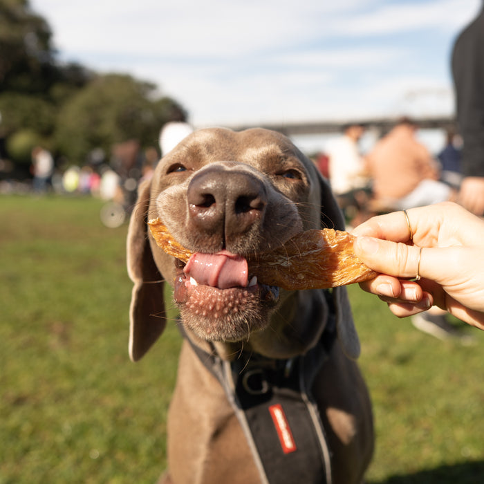 Chicken Strips