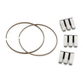 Two metal circlips and six rectangular metal parts with black grooves are arranged on a white background, forming the Cinema ZX Rear Hub Pawl Kit—ideal as replacement parts for your ZX rear wheel or cassette hub.