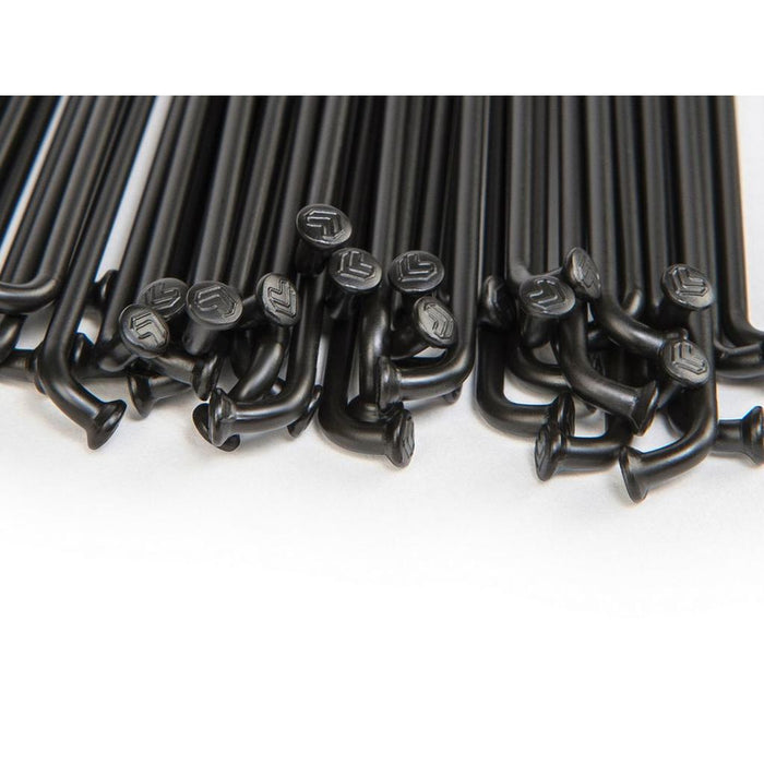 ECHP103-182-BLK