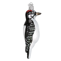 Hairy Woodpecker Ornament - Old World Christmas