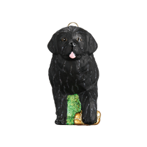 Newfoundland Ornament - Old World Christmas