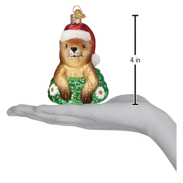 Santa Groundhog Ornament - Old World Christmas 4 inch