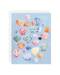 Shells - Love + Friendship Card