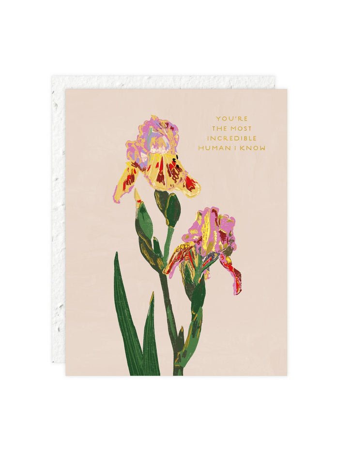 Whimsy Bloom - Love + Friendship Card