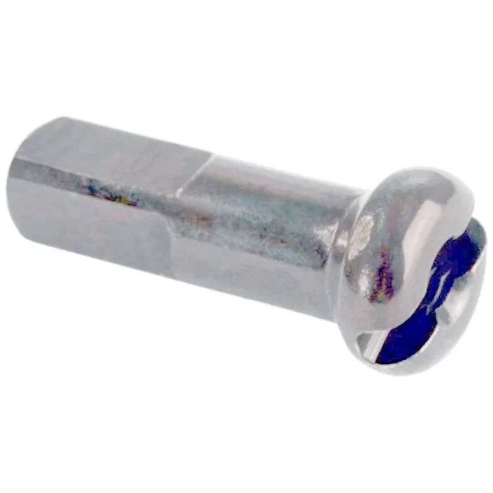 Close-up of a single metal screw with a hexagonal shaft and a slotted, rounded head on a white background, similar to the tough components featured in the (Workshop) Spectre High Strength Wheel Build (36 Hole), renowned for using durable stainless steel spokes and brass nipples—available for purchase as Rim and Hub with 50% OFF LABOUR.